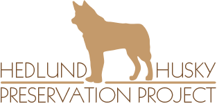 Hedlund Husky Preservation Project